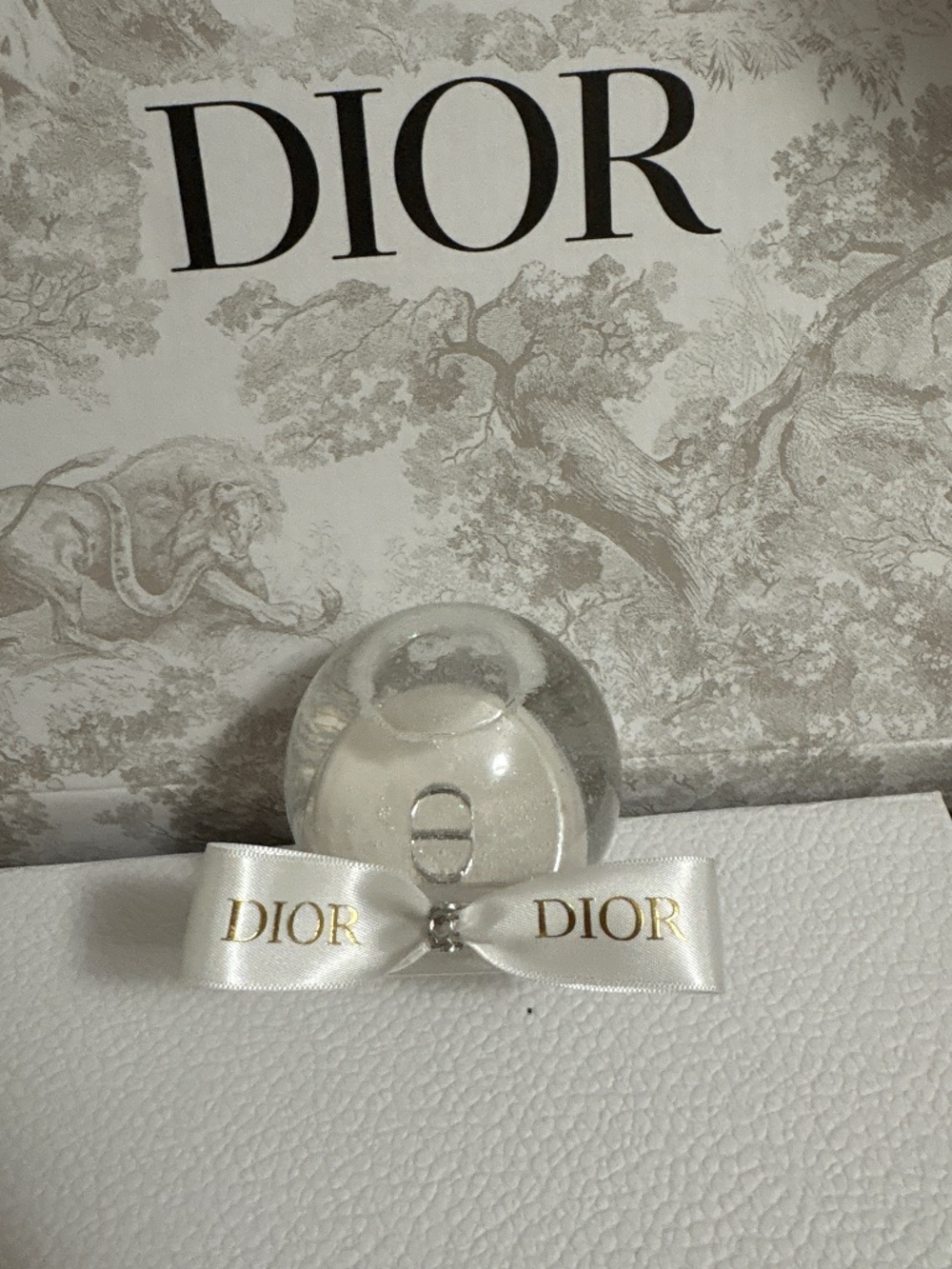 Dior mini Snowglobe